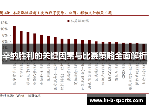 辛纳胜利的关键因素与比赛策略全面解析